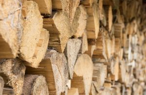 Holzspalter 10 t für jeden